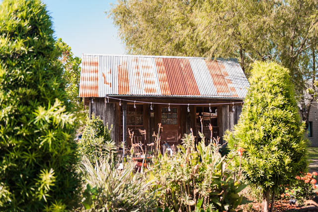 Silver Sycamore Bed & Breakfast 